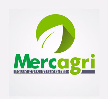 Sitio Web Mercagri